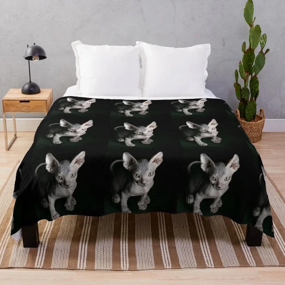 ���� ����ũ�� ������ ������ ���, ���� ħ�� ���